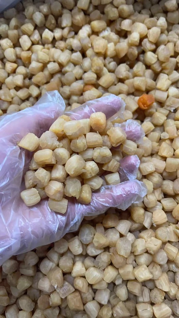 300头干贝瑶柱煲汤煲粥蒸水蛋营养海鲜干货