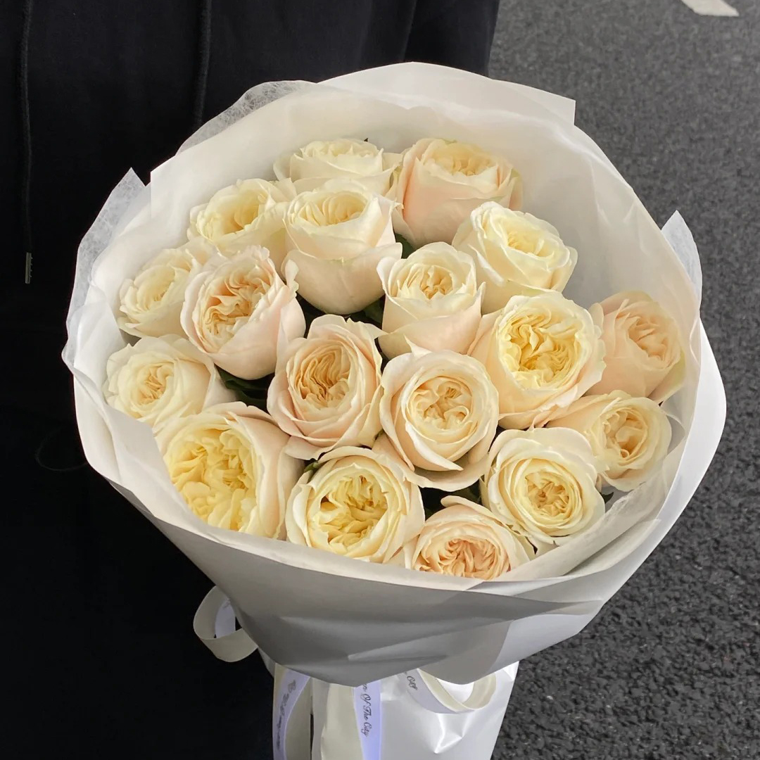 #【艾洛尔】单头玫瑰 稀有小众鲜切花云南基地直采顺丰直发玫瑰花