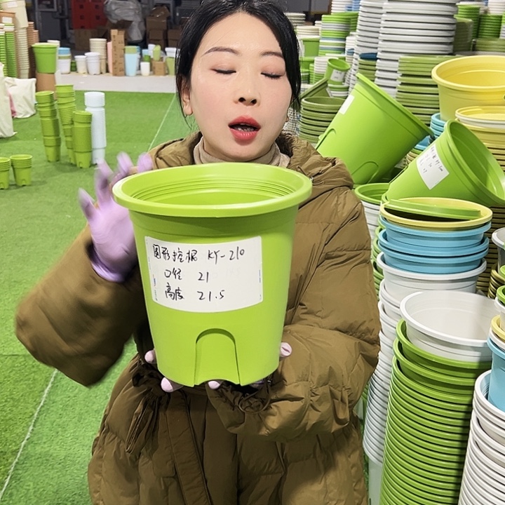 正品圆控口21高21果绿8只无托