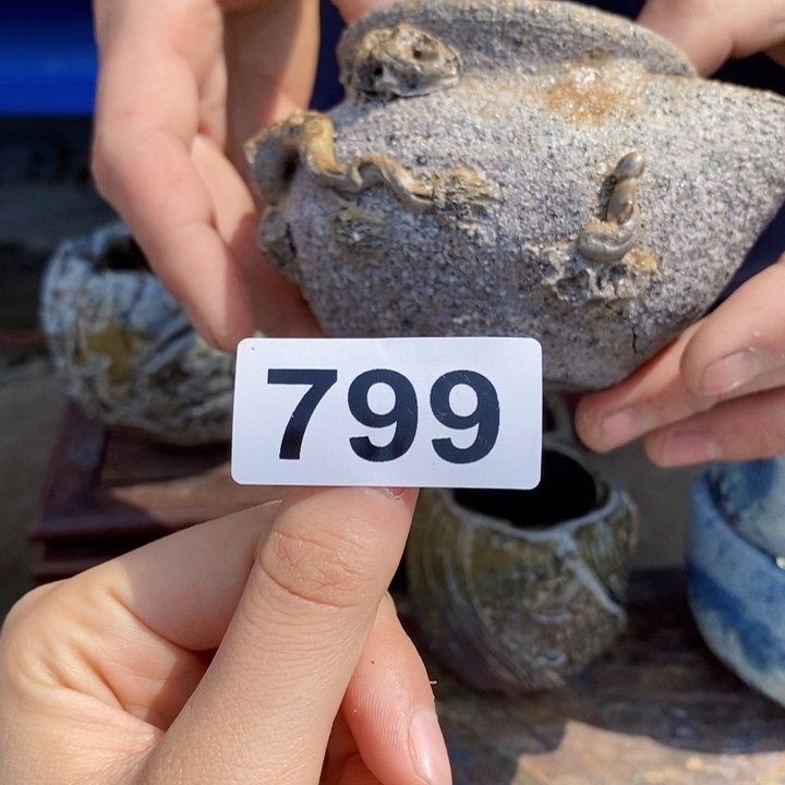 茶盏啦啦啦啦啦啦啦啦799