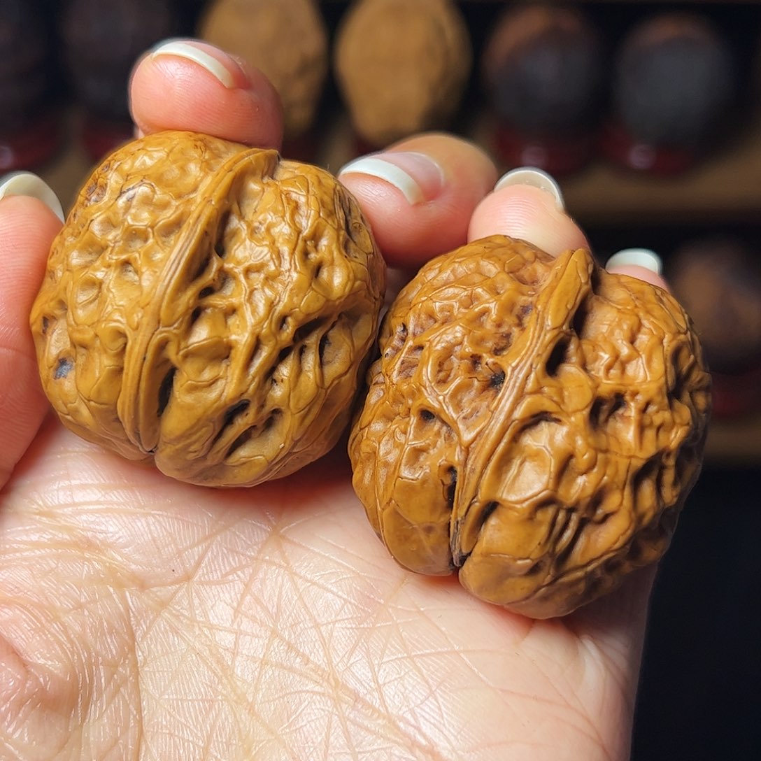 观音佛手      37尺