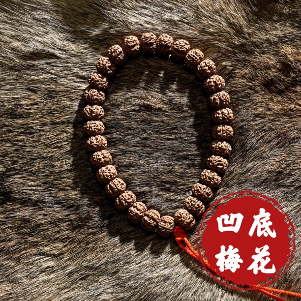 【巨肉凹底梅花】纯血勿里达凹底梅花小金刚手串密度肉度无敌