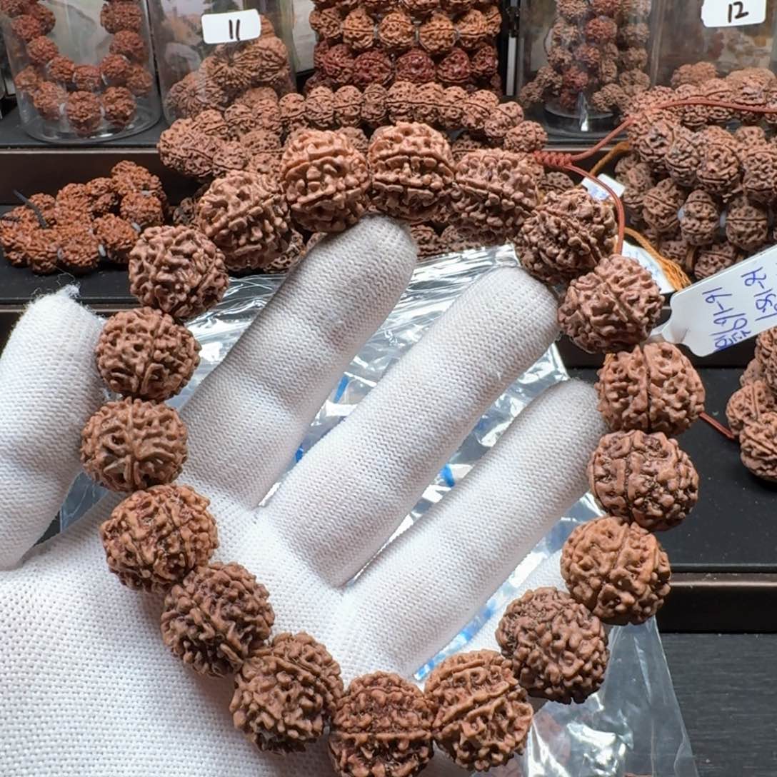 金刚菩提手串18原生态七瓣体验串（不同树不同色）