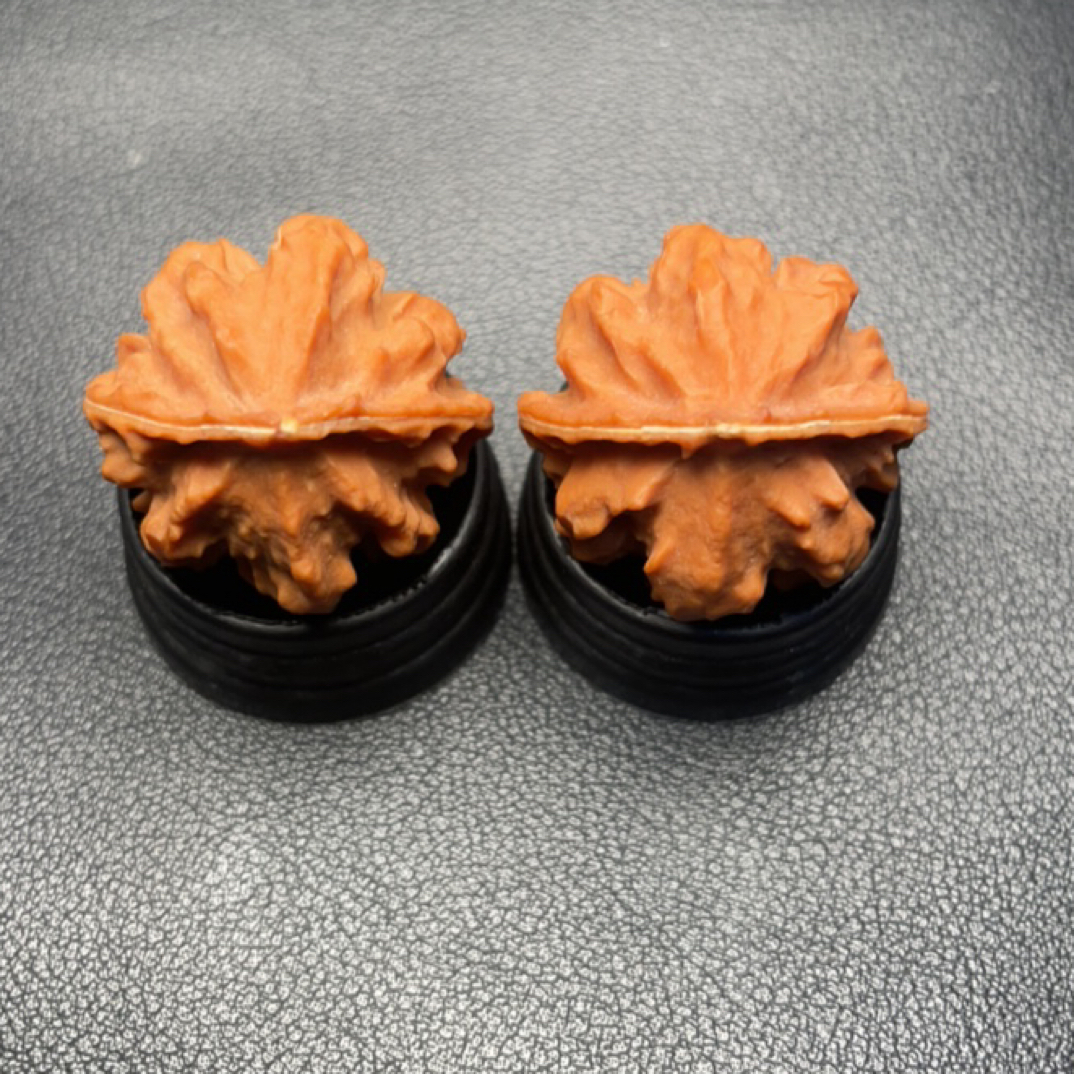 文玩把件野生八棱龙脊