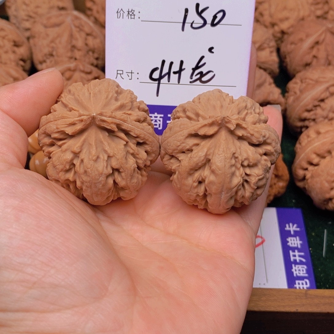 文玩核桃霸王龙核桃