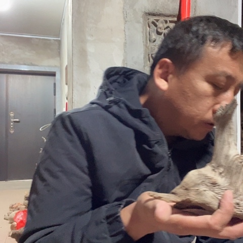 顺***溜柏木崖柏毛料的加工