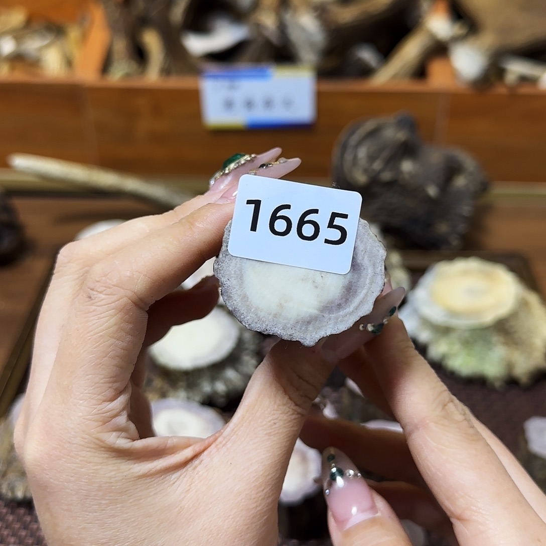 鹿骨手串/手链1665根段