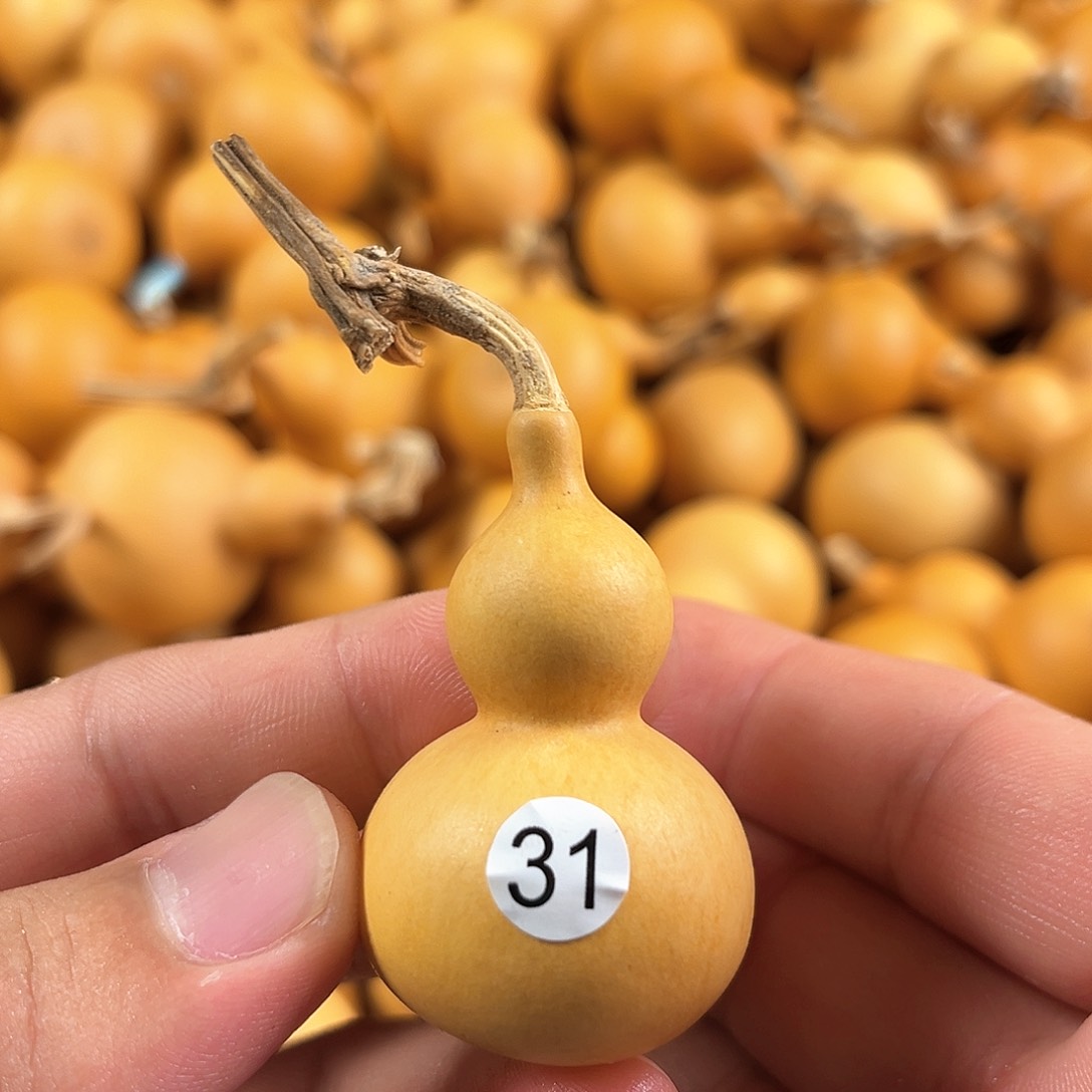 一葫芦葫芦葫芦葫芦31