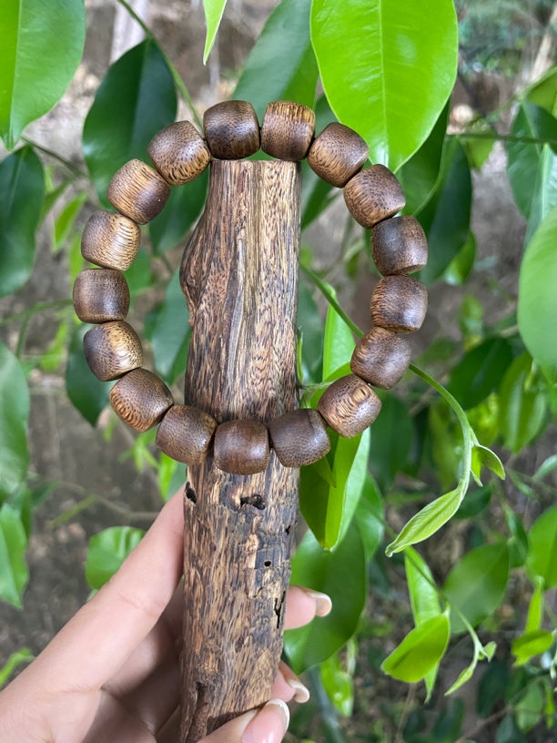 Ty-12gu白奇原材料福利款多样性发一