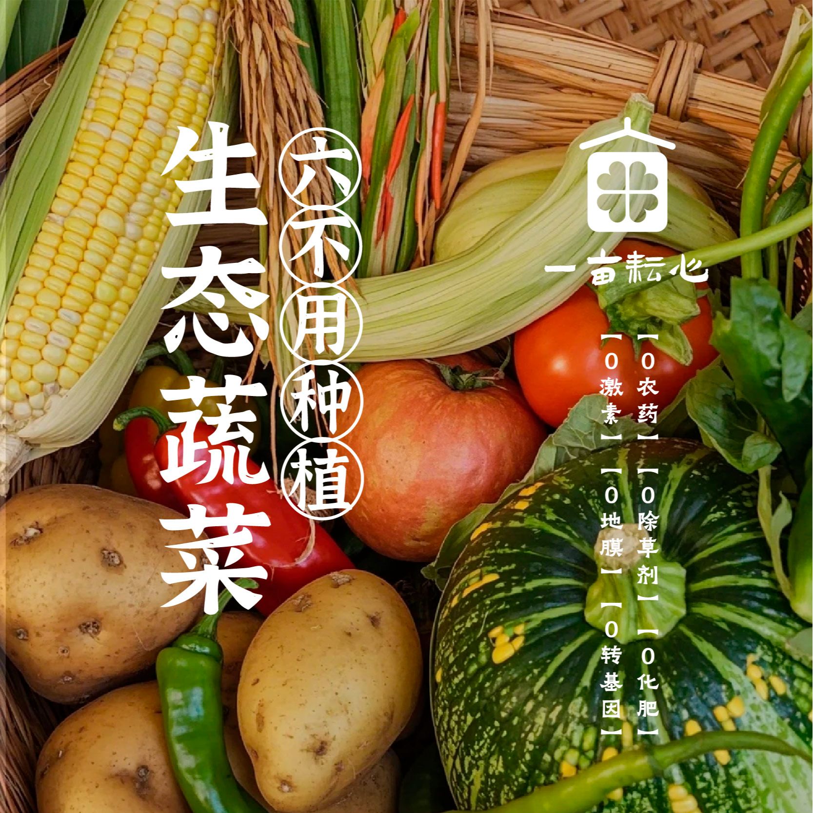 【顺丰空运偏远专属】耘心自营打死不用农药化肥产地直发新鲜采摘