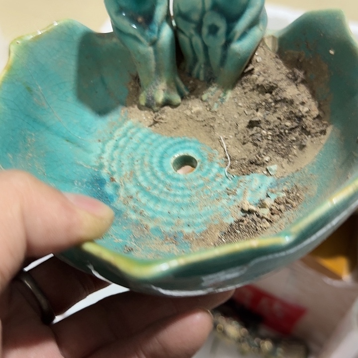 阳***道扇子吃g恍恍惚惚哈哈哈哈哈哈