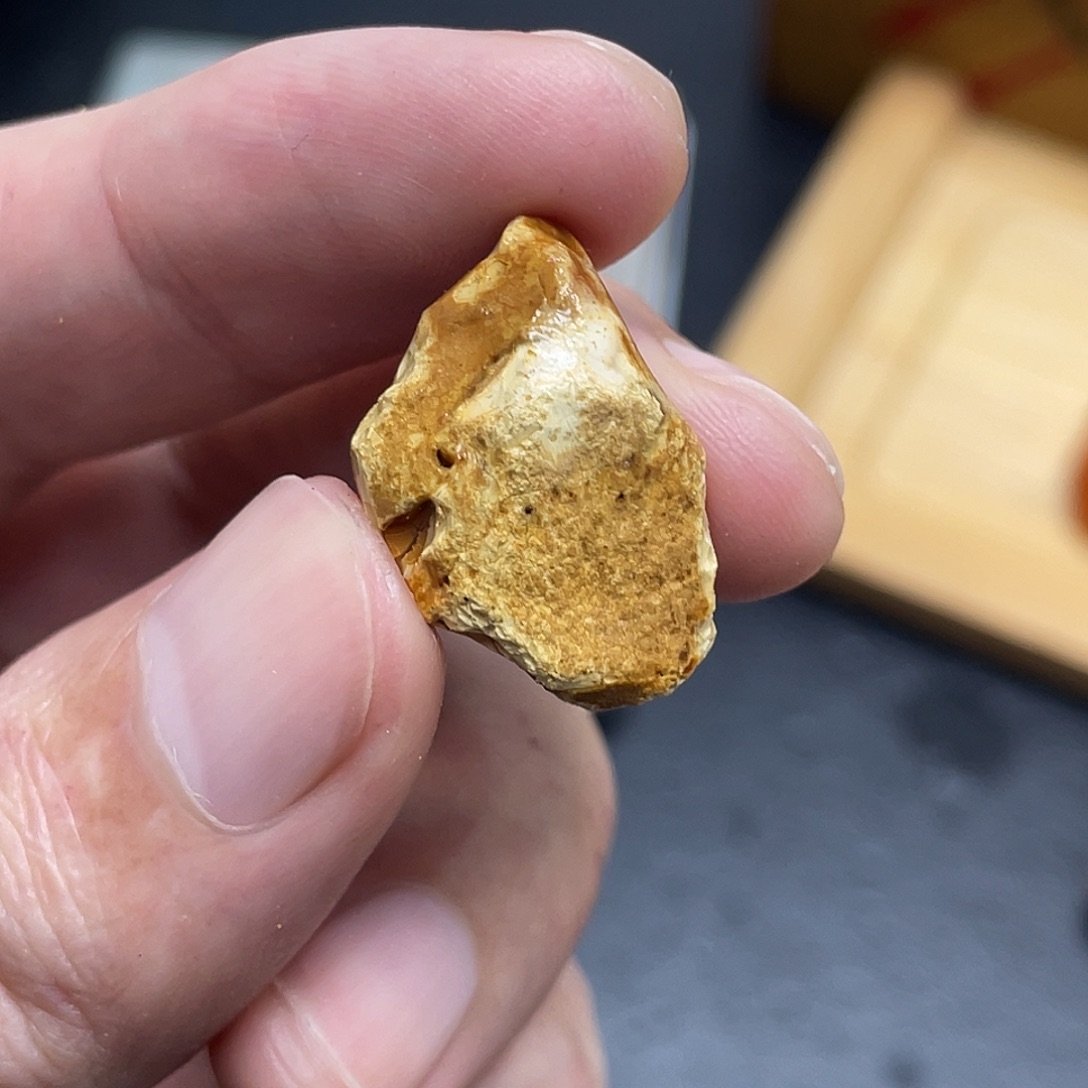 未镶嵌定制琥珀蟹*板定制