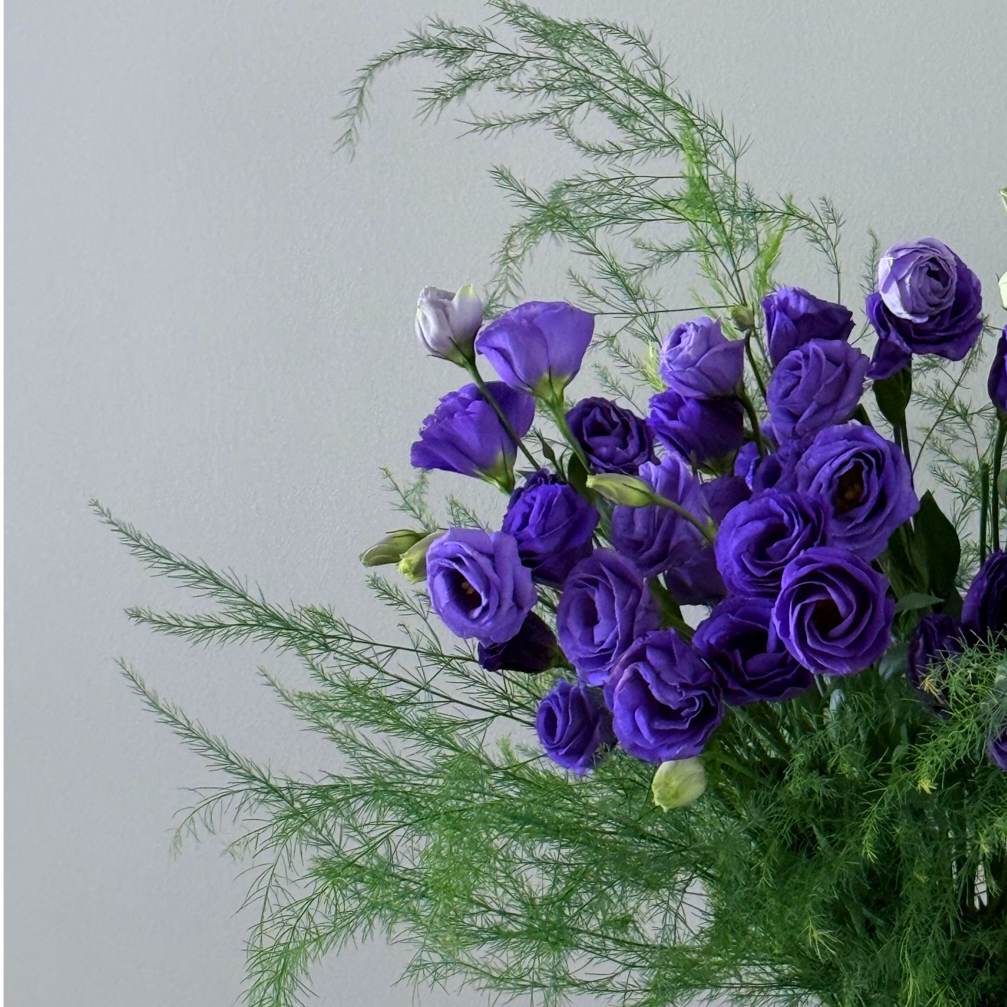 极光紫洋桔梗芦荀草花束25年爆款森系花束云南直发水培鲜花