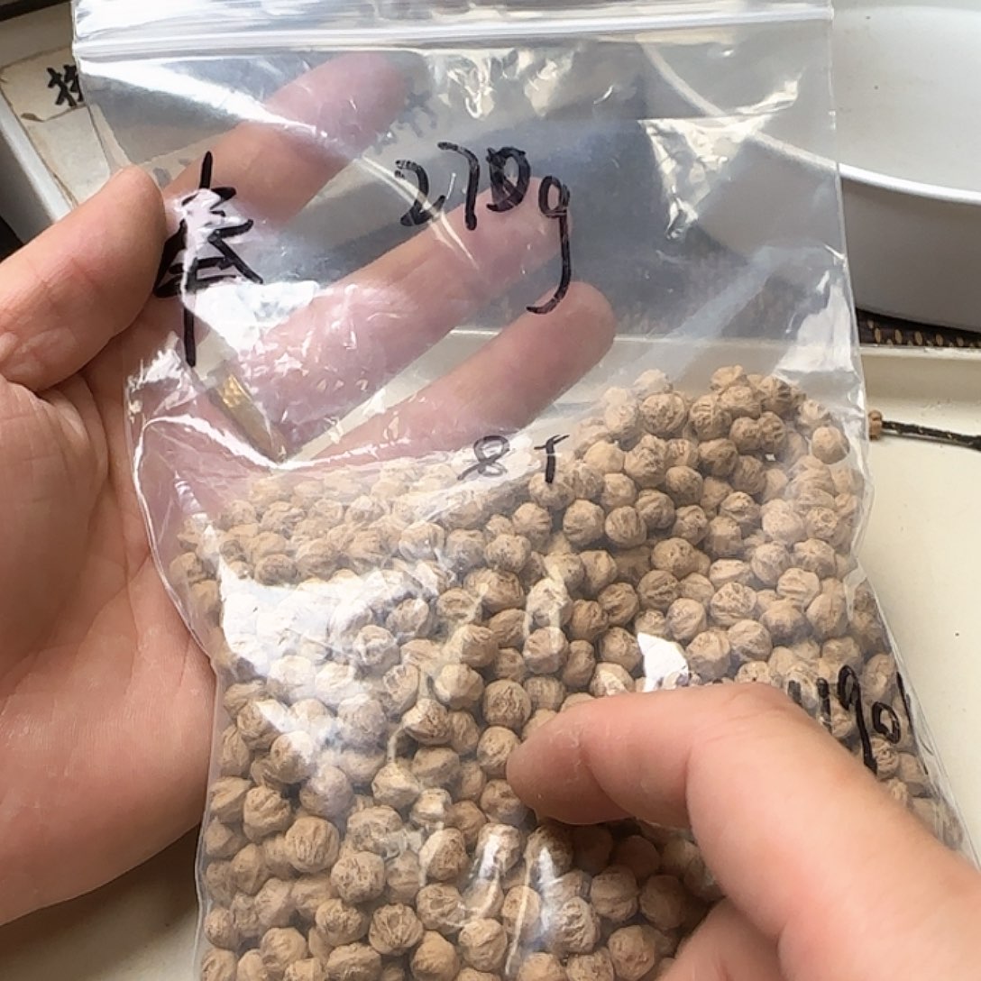 奉***节吊坠柏香籽/百香籽