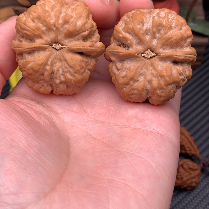 画***学文玩核桃吊坠蛙蛙39