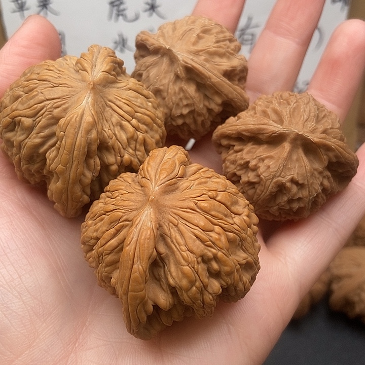 止***）大大大大大虎头宫灯黄