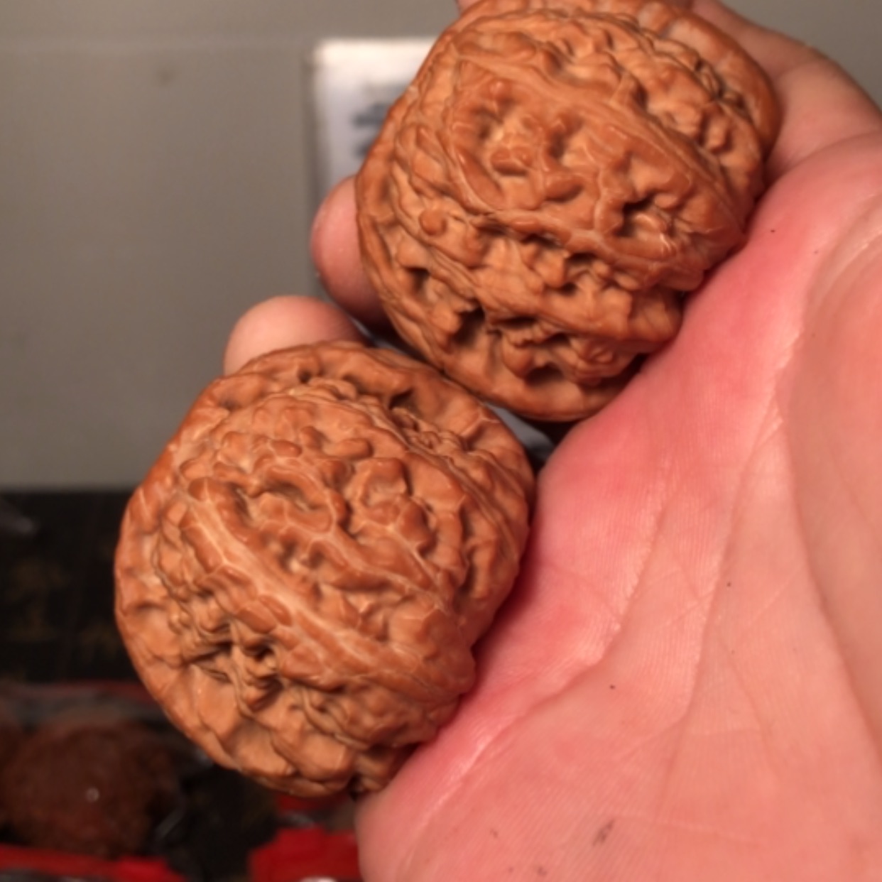 【闪购商品】文玩核桃把件白狮子44
