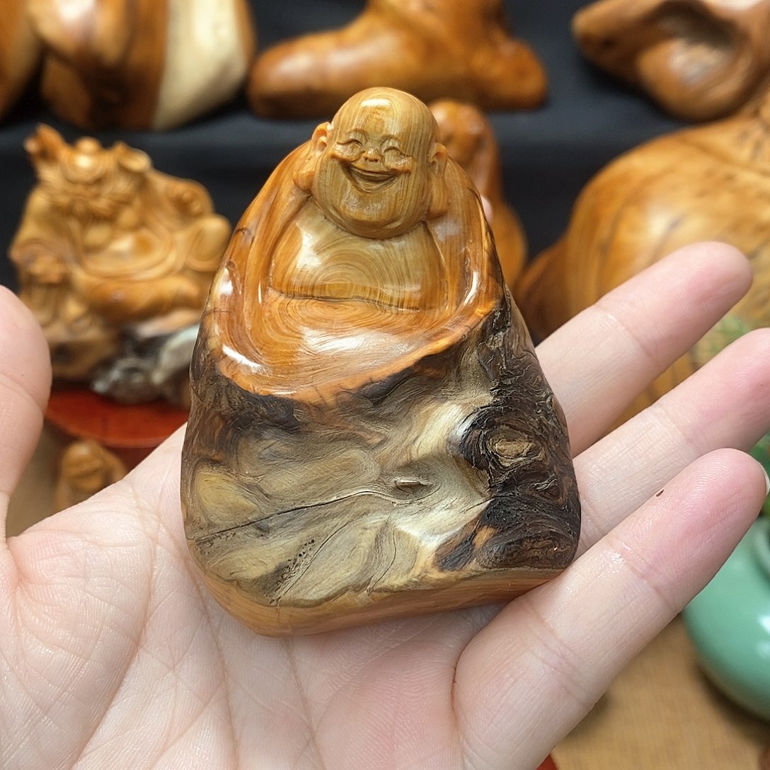 柏木（崖柏）一物一图