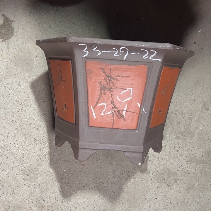 周三周四再说再说学  