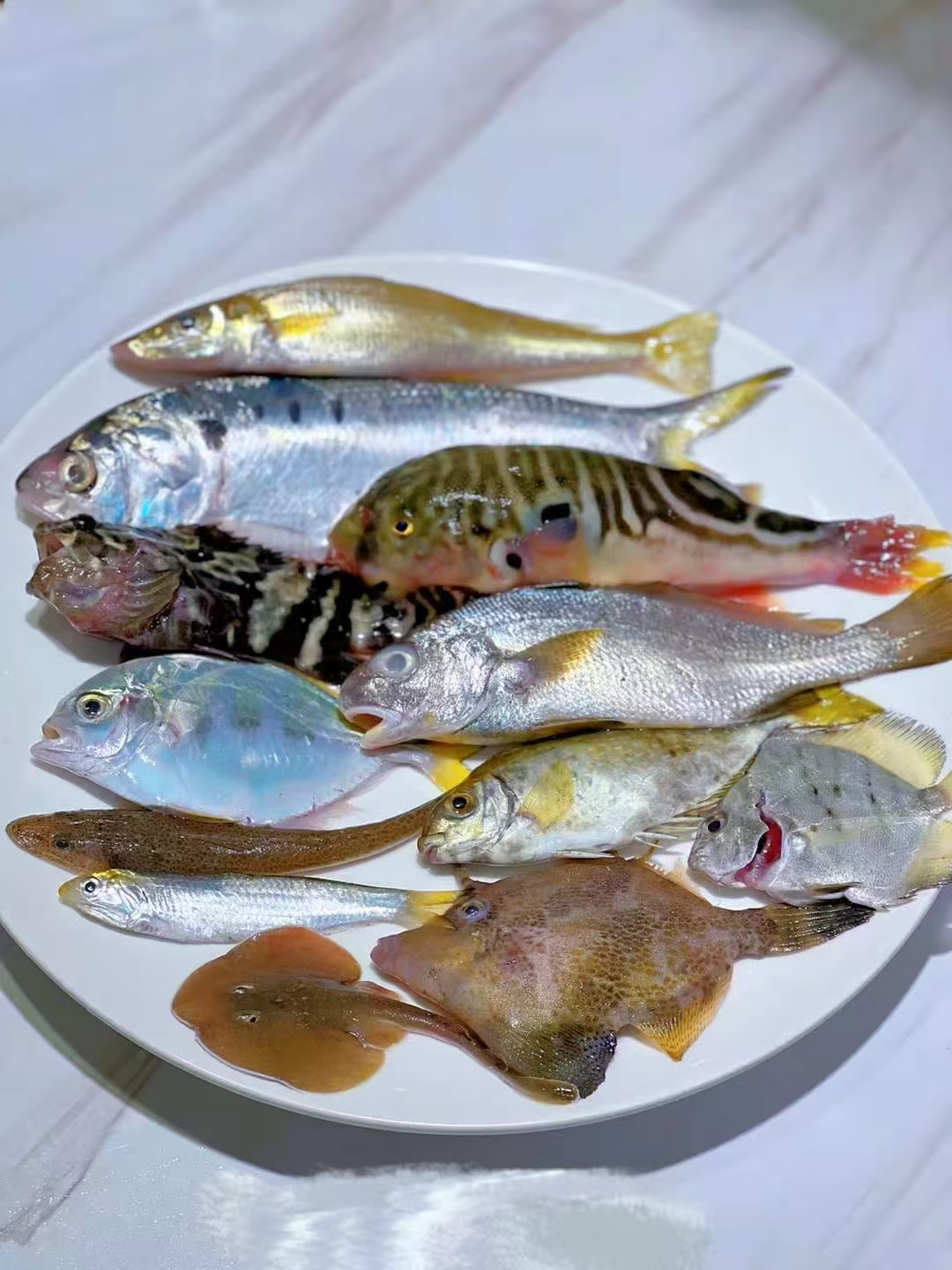 【杂鱼链接】杂鱼链接具体以直播间为准