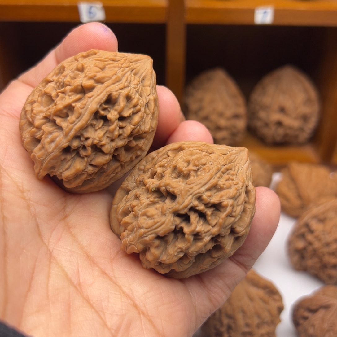 文玩核桃吊坠37大沽石差尺