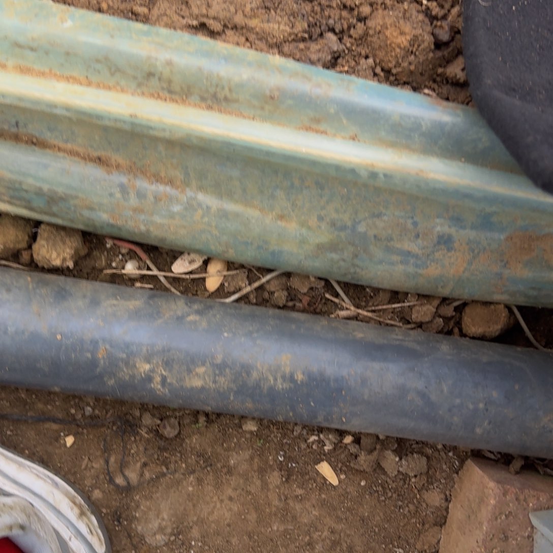 ?**?香炉盘寄养到春。多肉植物