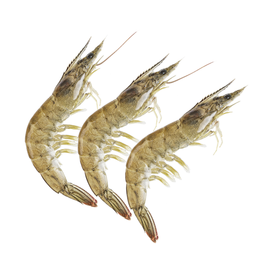 鲜活基围虾（500g）默认充氧打包