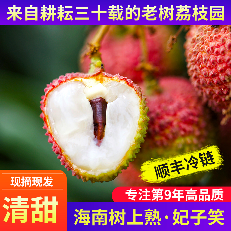 [海南树上熟·妃子笑] 甜蜜的汁水伴着厚实果肉立马就治愈了夏天！