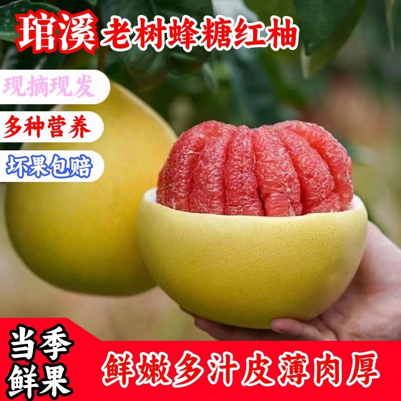 【福建发货】正宗琯溪红心蜜柚福建平和老树新鲜采摘坏果包赔rs
