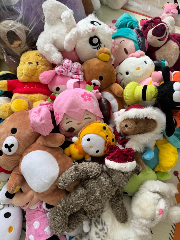 【3-50】中古毛绒玩具杂款清仓