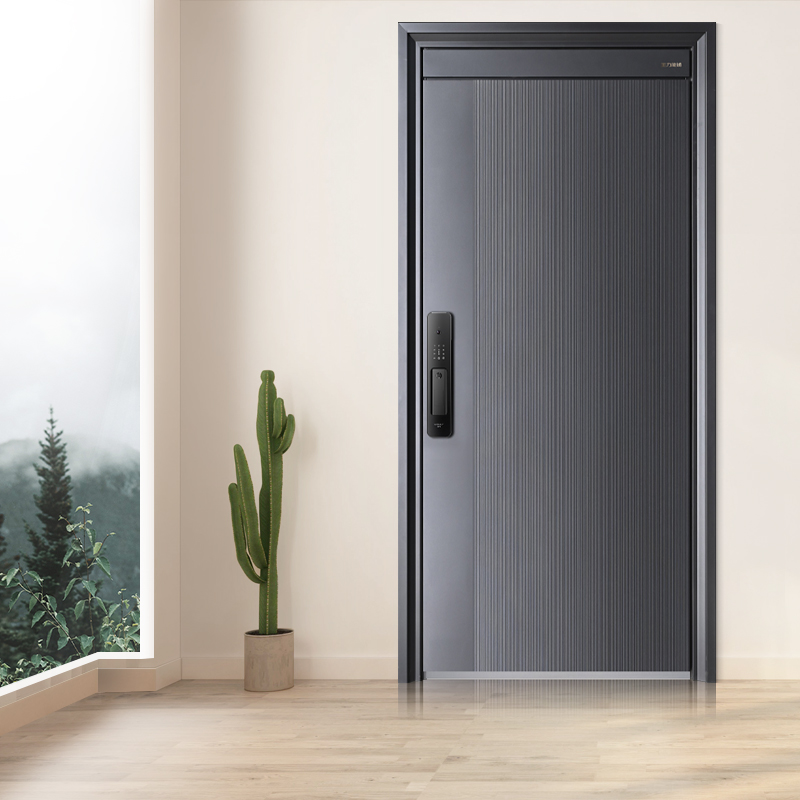 wonly/王力能诚N9518入户门2.0