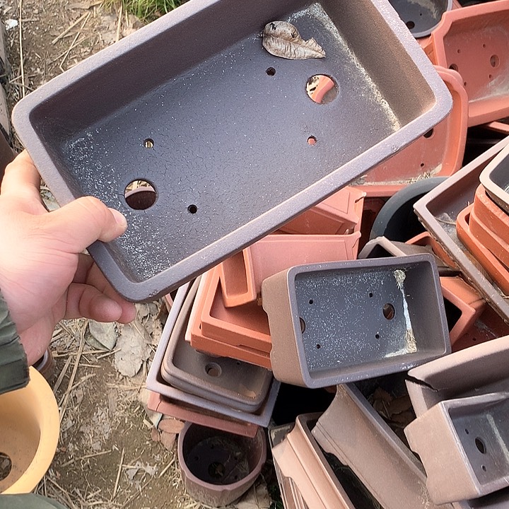 紫砂没有那么重要的人怎么