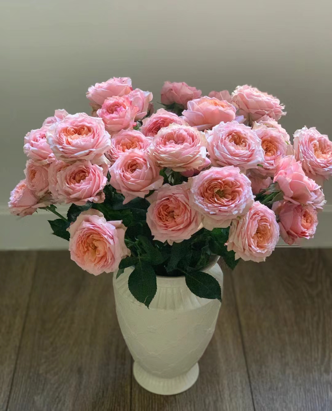 【朱丽叶塔多头玫瑰10支】 全场任意两单顺丰/京东