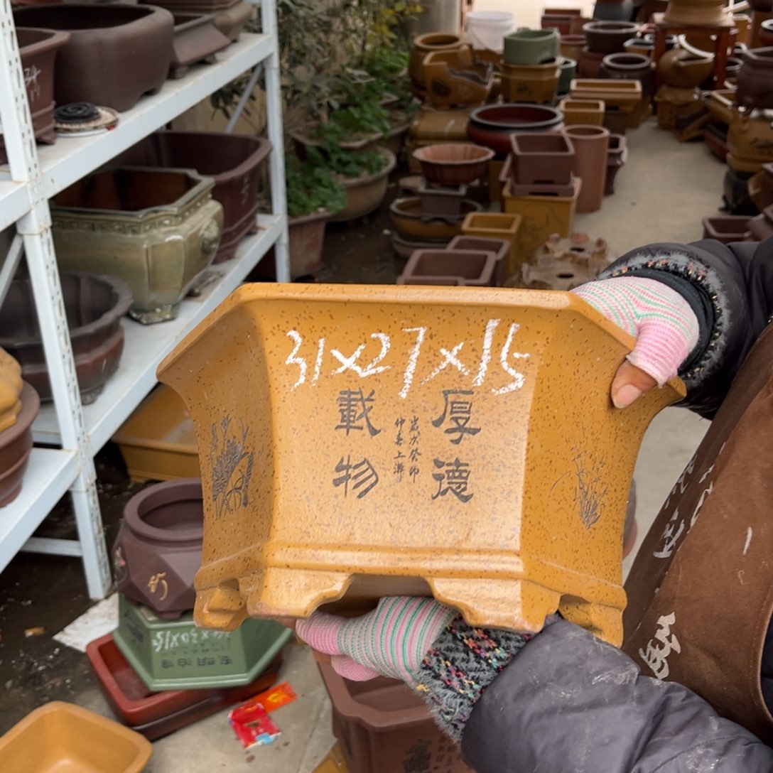 紫砂花盆盆景艺术