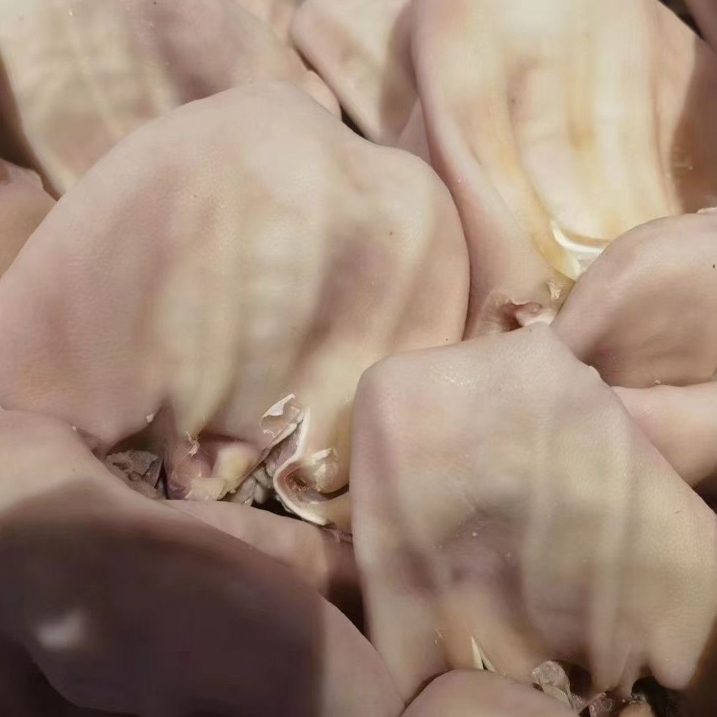 新鲜现杀农家土猪新鲜猪耳朵3.5斤4️⃣～5️⃣个