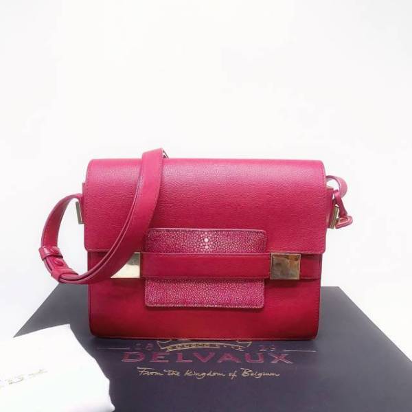 95新/德尔沃/包包/市场价25000/250615zb0030