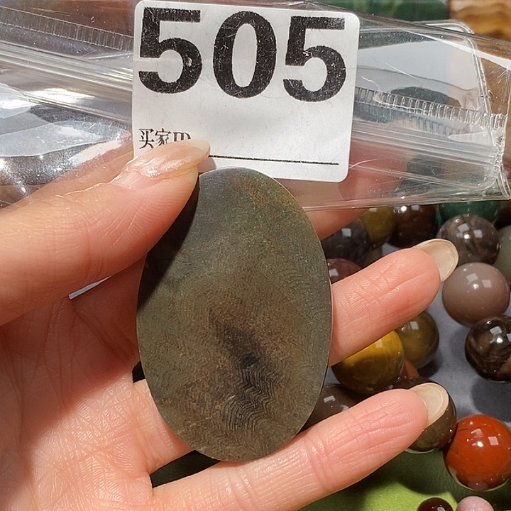 硅化玉未镶嵌天然北票树化玉吊坠