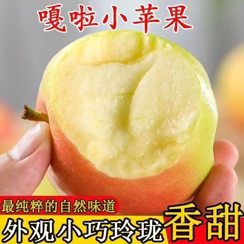 【顺丰包邮】新鲜黄嘎啦苹果新鲜当季现摘苹果大果黄嘎啦水果孕妇