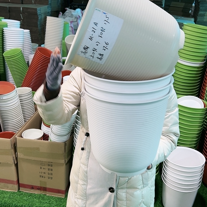 正品高陶口27高27.6白色无托4只