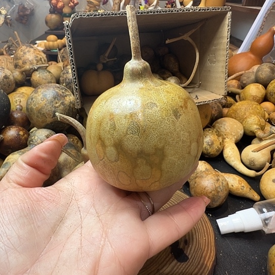 长****司葫芦葫芦葫芦葫芦