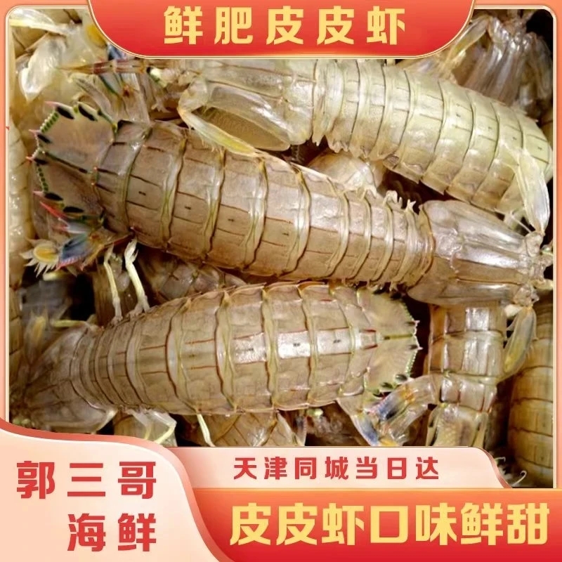 【保鲜不保活】本地小片皮皮虾一斤28条左右 显小勿拍