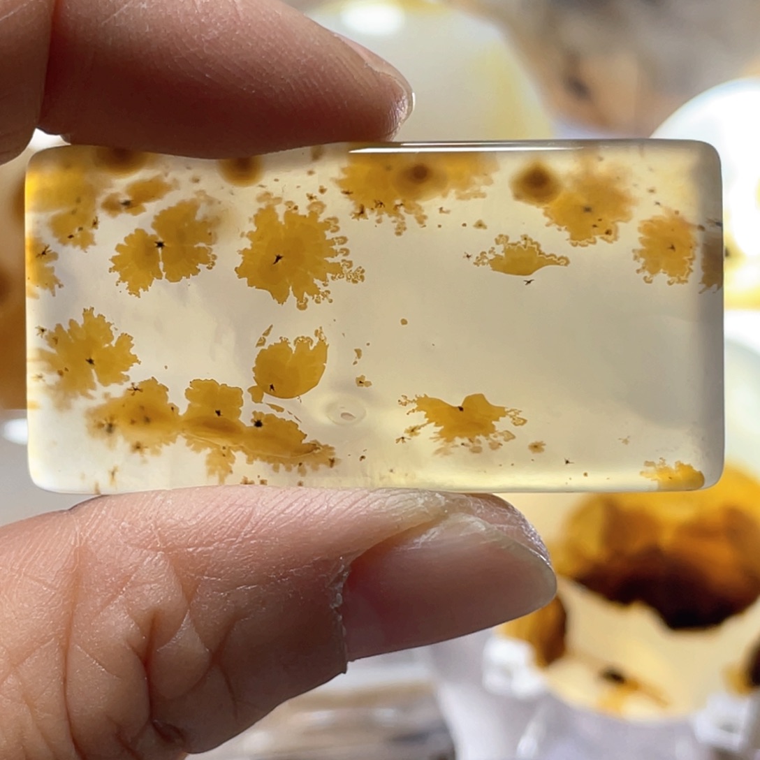 【闪购商品】玛瑙/玉髓颈饰合金