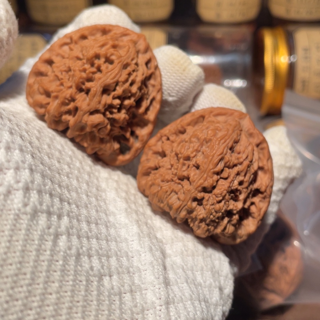 核桃44三角疆jjjjj