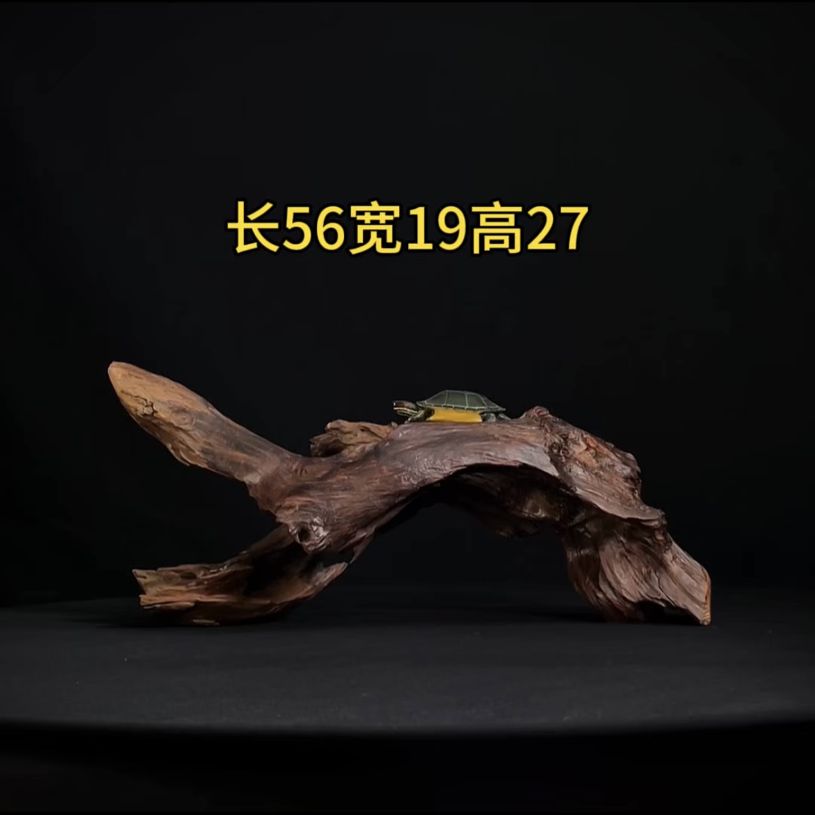 张大狼造景沉木长56cm拱桥飘枝 乌龟爬台南美鱼缸造景 紫柚木秒沉