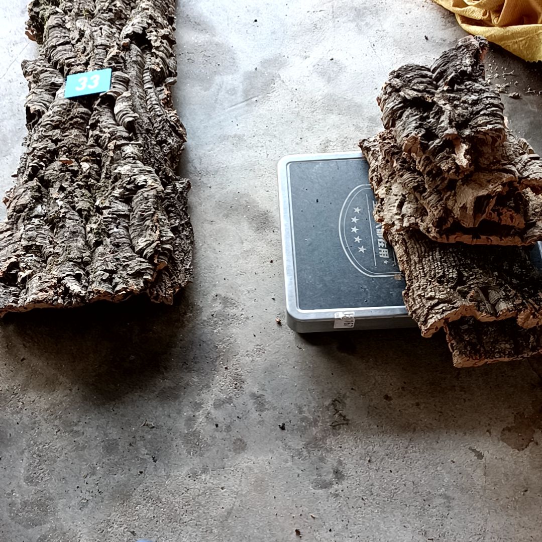 木一物一拍一物一发