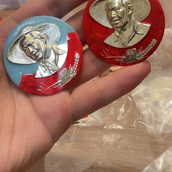 梦***到像章一一一一一高贵轻