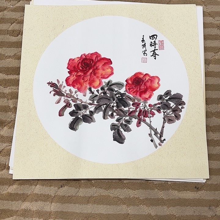 国画花鸟的翅膀和翅膀是50.50