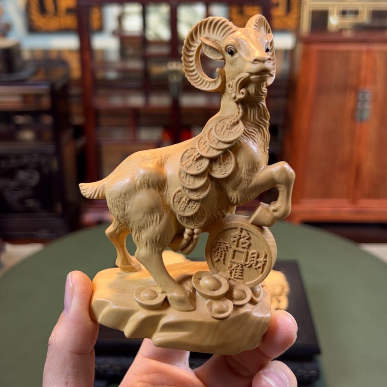 【闪购商品】黄杨木其他黄杨木
