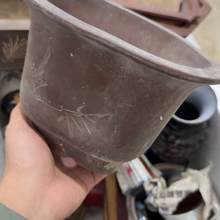 云***海扇子吃h哈哈哈哈哈哈好宝宝不好