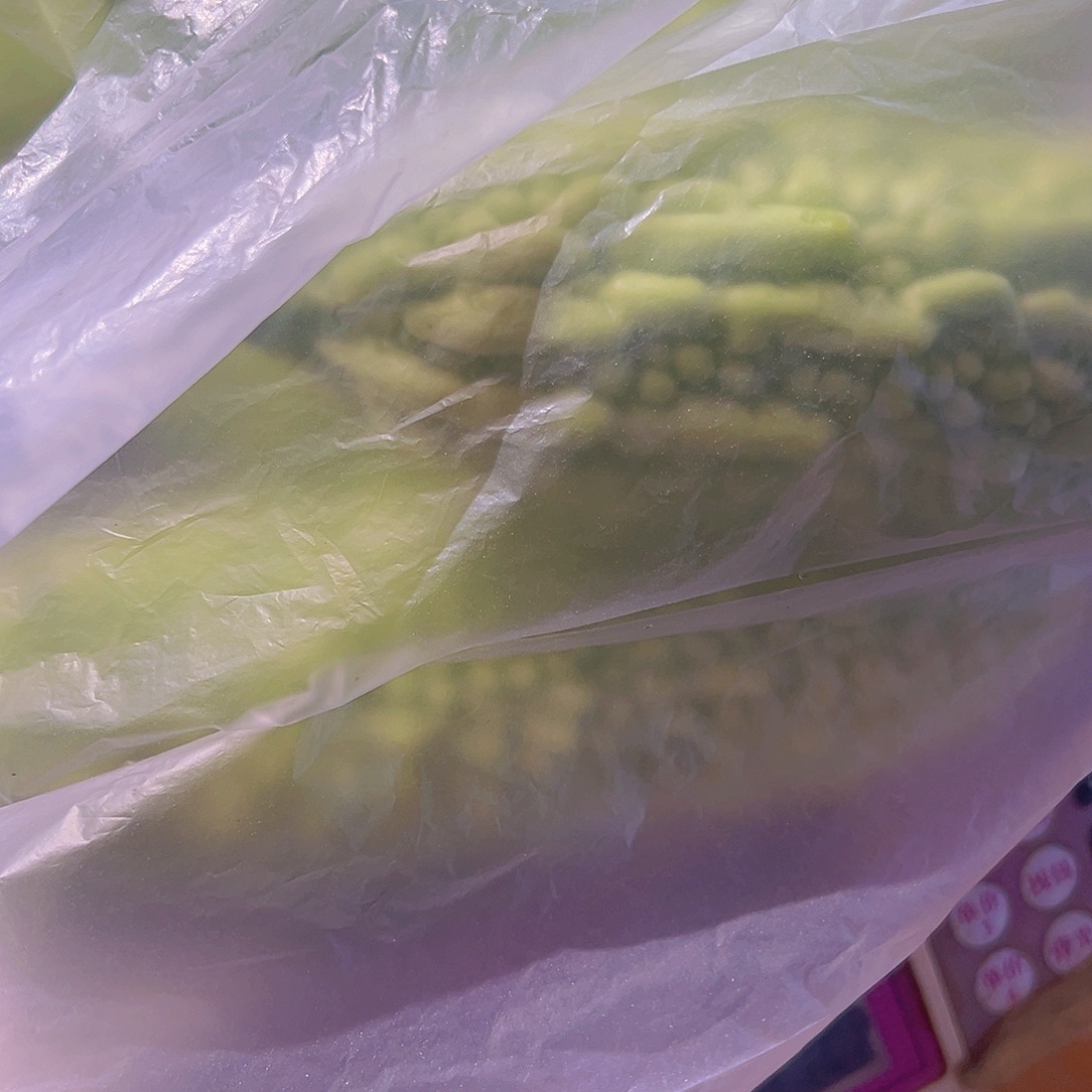 一***中国大陆代购白苦瓜